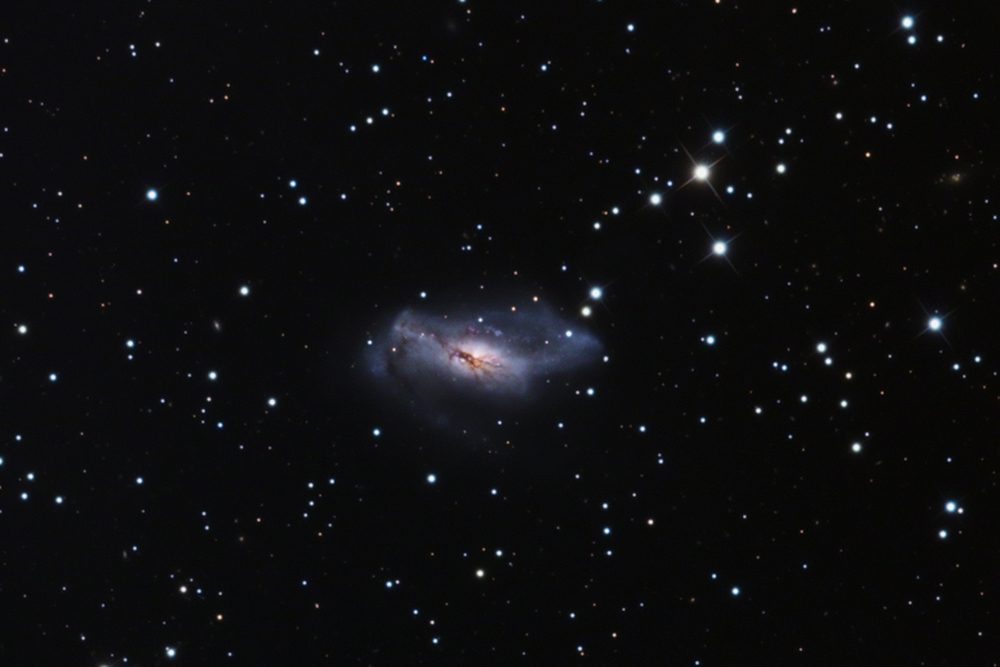NGC 2146 ngc-2146